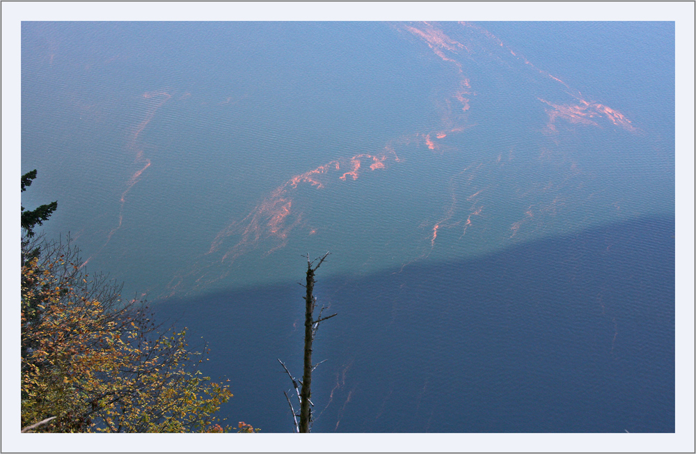 4waldstättersee: naturally art ... ;-)