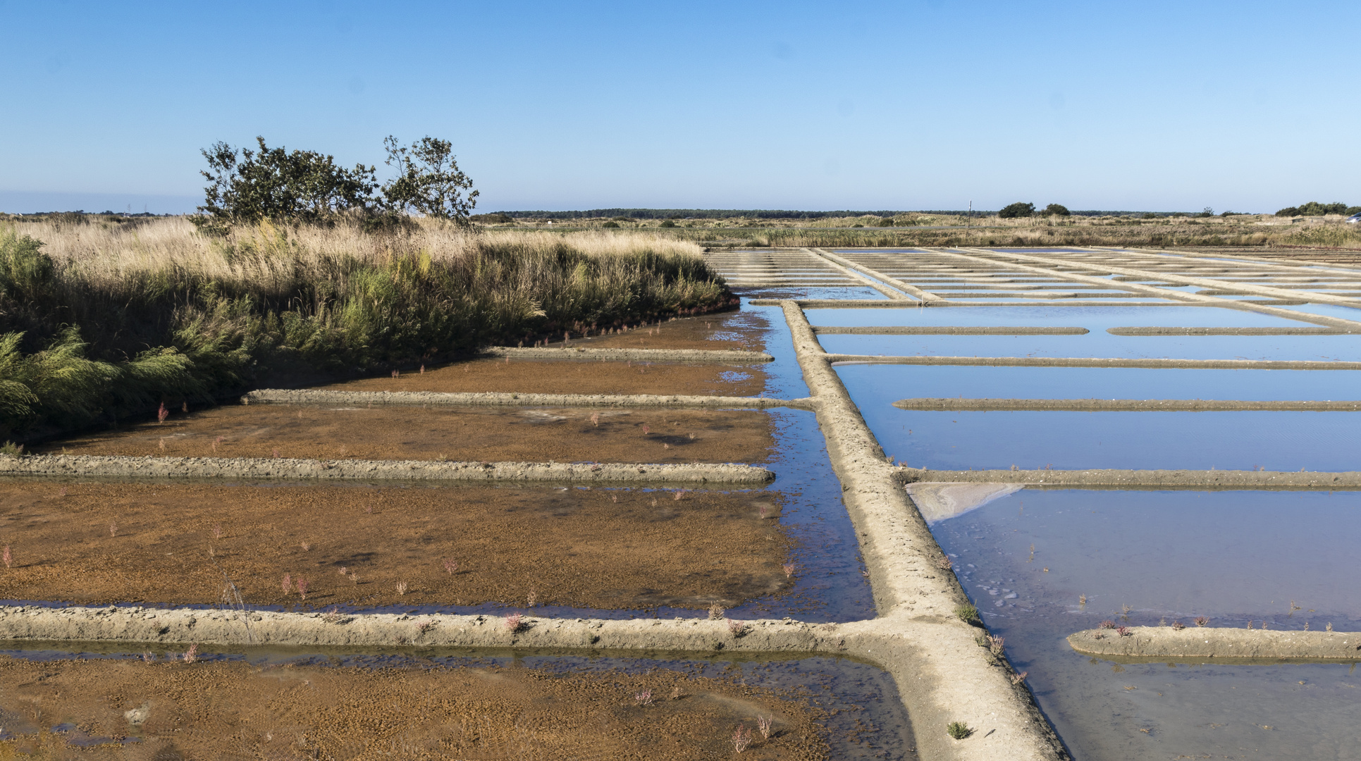 #5 - Automne sur les marais salants