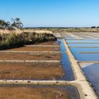 #5 - Automne sur les marais salants