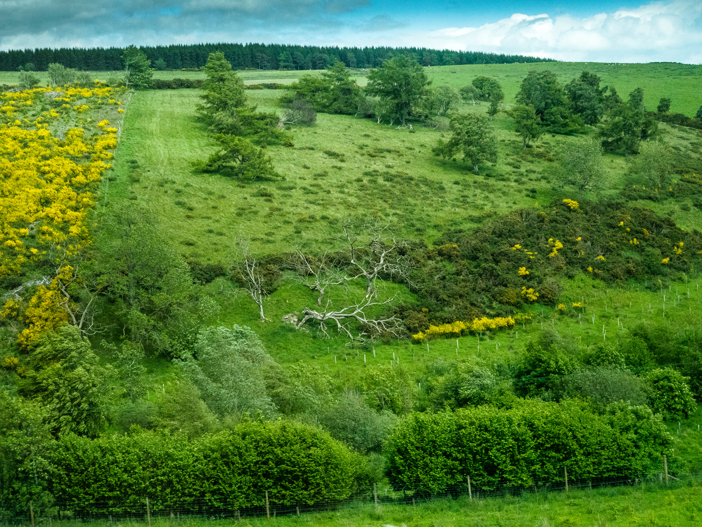 5 Blick aus dem Busfenster