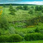 5 Blick aus dem Busfenster