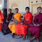 5 budd. Mönche in 5 versch farbigen.Roben
