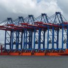 5 Containerbrücken aus Shanghai  vor Stader Sand..