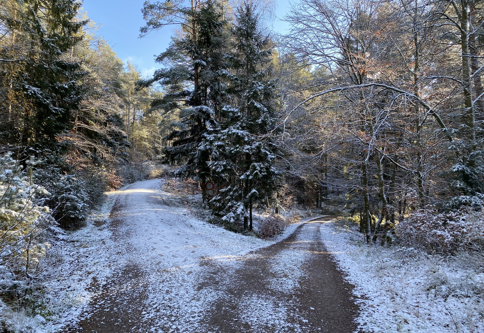 (5) Der erste richtige Schnee diesen Winter - ein wunderschöner Sonntagmorgen-Spaziergang