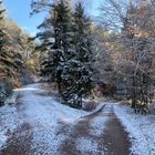 (5) Der erste richtige Schnee diesen Winter - ein wunderschöner Sonntagmorgen-Spaziergang