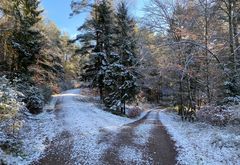 (5) Der erste richtige Schnee diesen Winter - ein wunderschöner Sonntagmorgen-Spaziergang