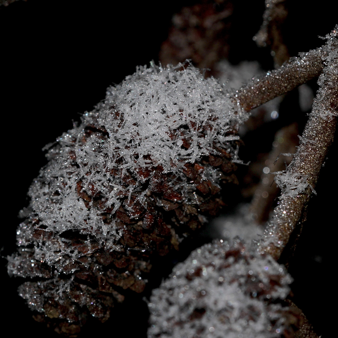 (5) Eisnadeln als Schnee und nadelförmiger Raureif ...