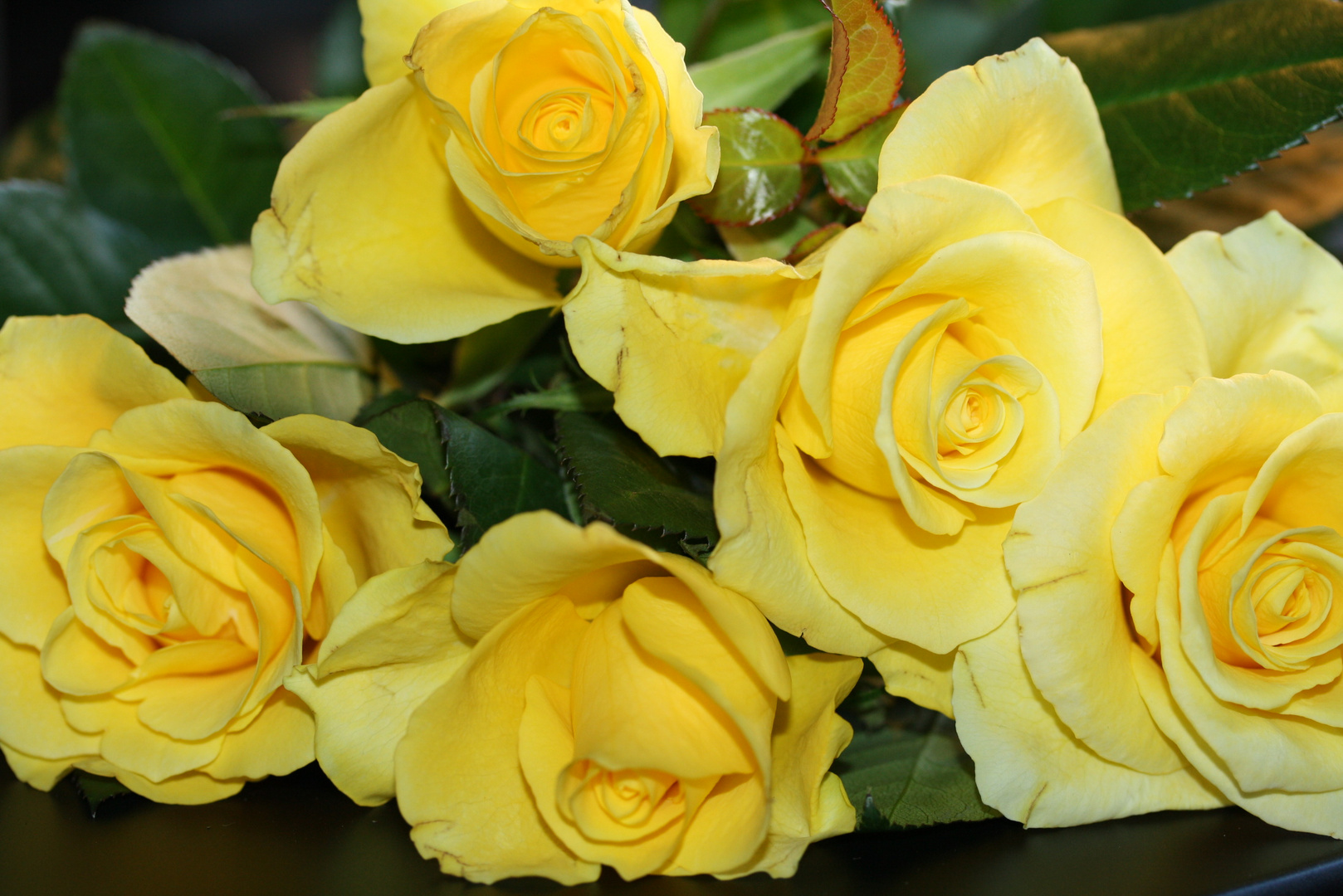 5 gelbe Rosen und ein Sack voller Erinnerungen