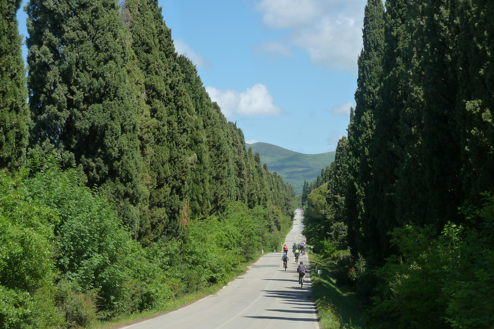 5 km Zypressenallee - die "Viale dei Cipressi"