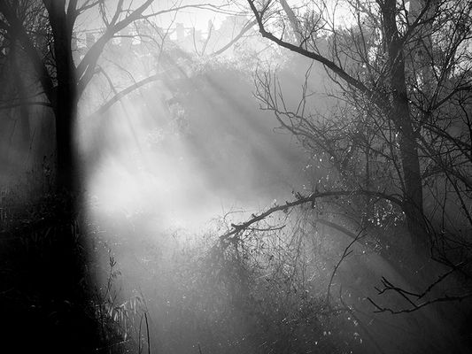 5 LA LUCE MI ATTRAVERSA - Cristina Finotto (ilmondodiEliot)