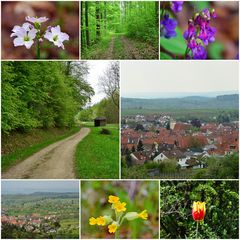 5.- Mai-Rundgang