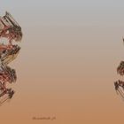 5._ Mandelbulb 3D _ X View _