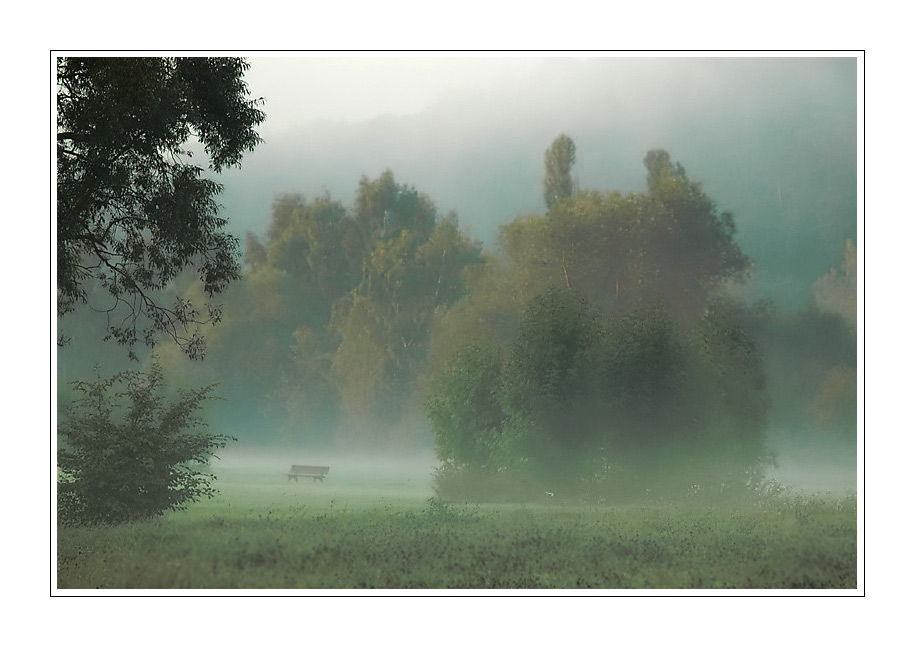 5 Minuten-Fotografie #Nebel im Park
