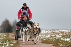 5. Schlittenhunderennen in Dobel