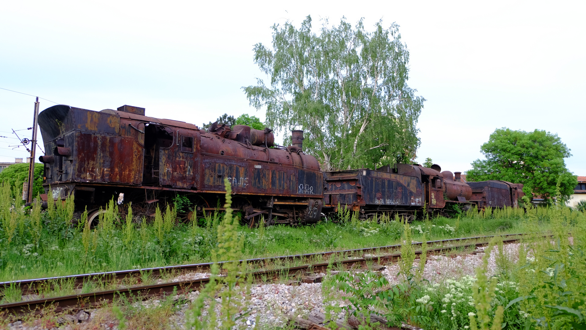 (5) Serbien, Niš - ein vergessener Zug, Paradies für Bahnfans 