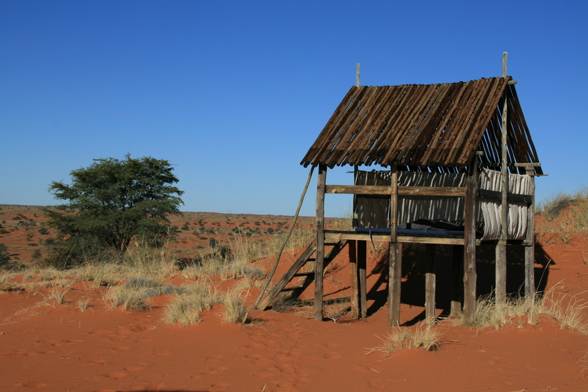 5-Sterne-Lodge in der Kalahari