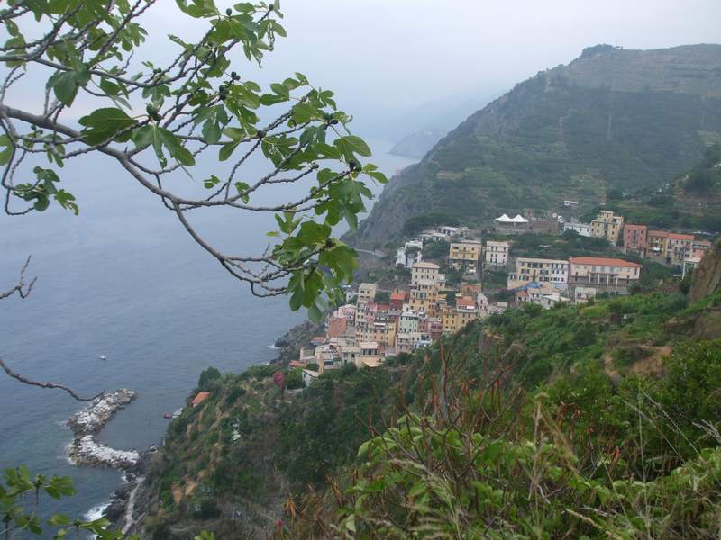 5 terra Riomaggiore