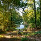 5 verwunschene Weiher bei Heidesheim