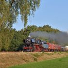 50 0073-2 mit Güterzug am 01.09.18 zwischen Loenen und Eerbeek