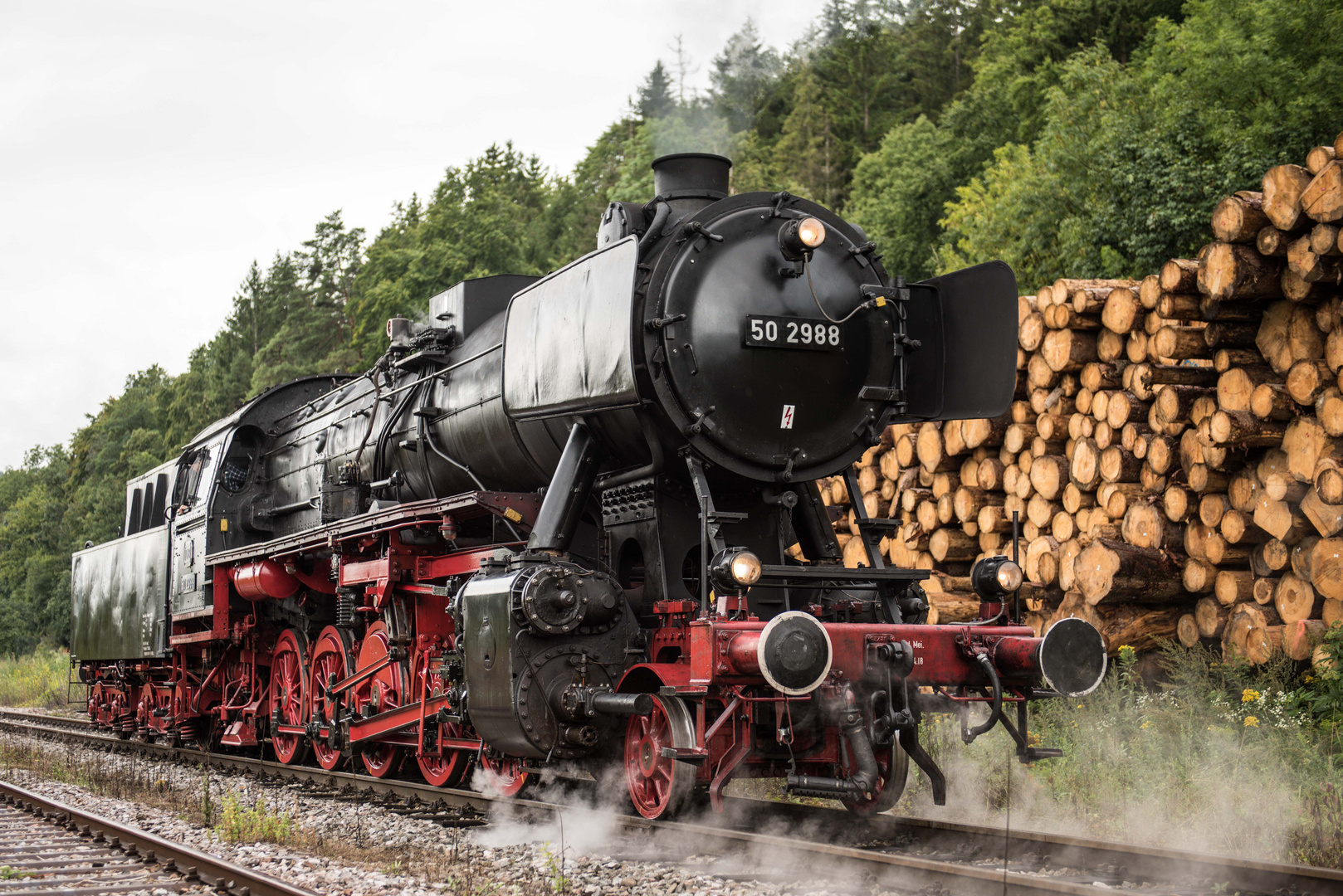 50 2988 nach der Wasseraufnahme in Weizen