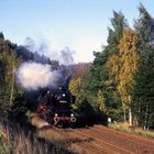 50 3145  im Erzgebirge(3)