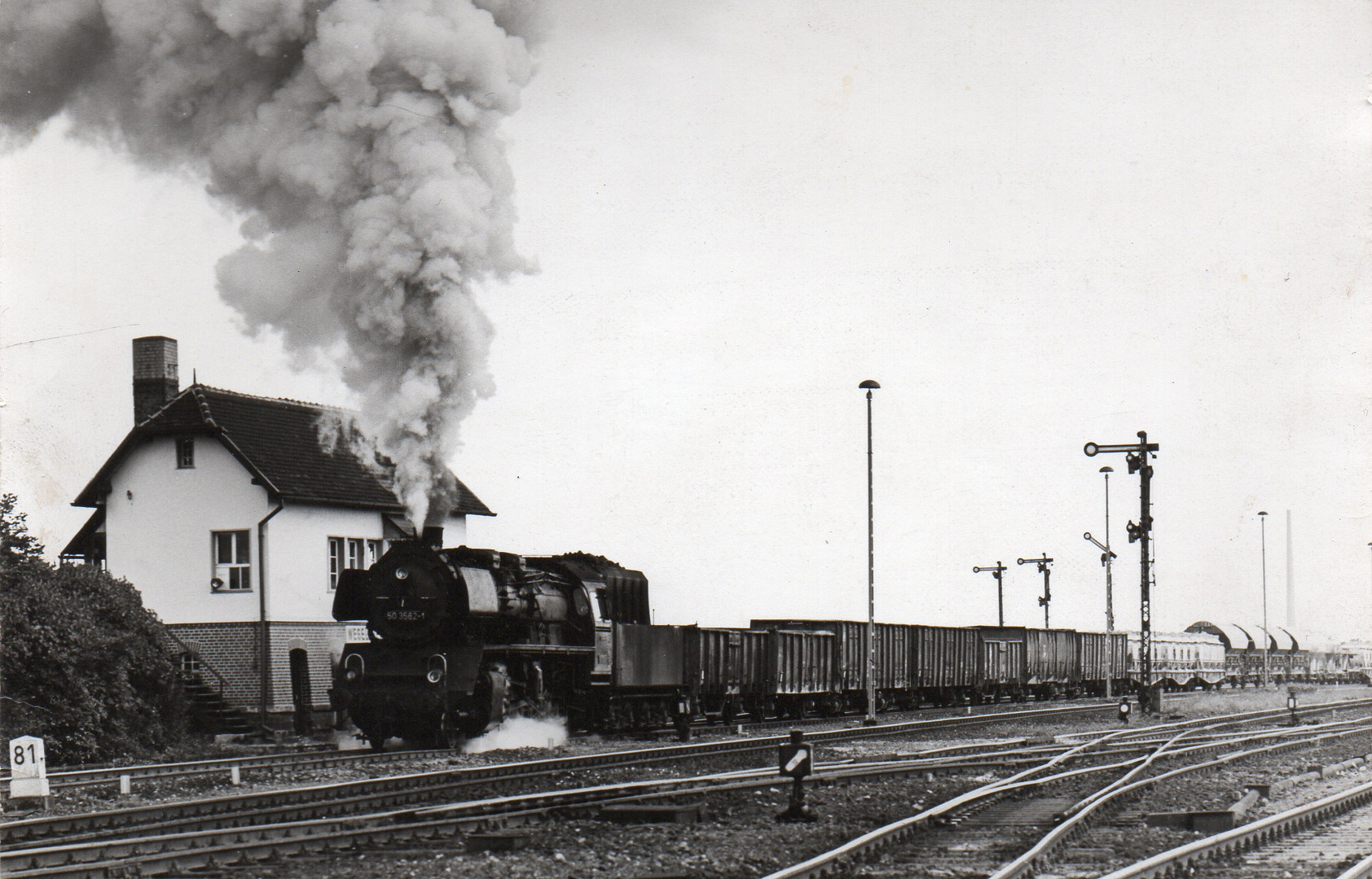 50 3562 in Wegeleben