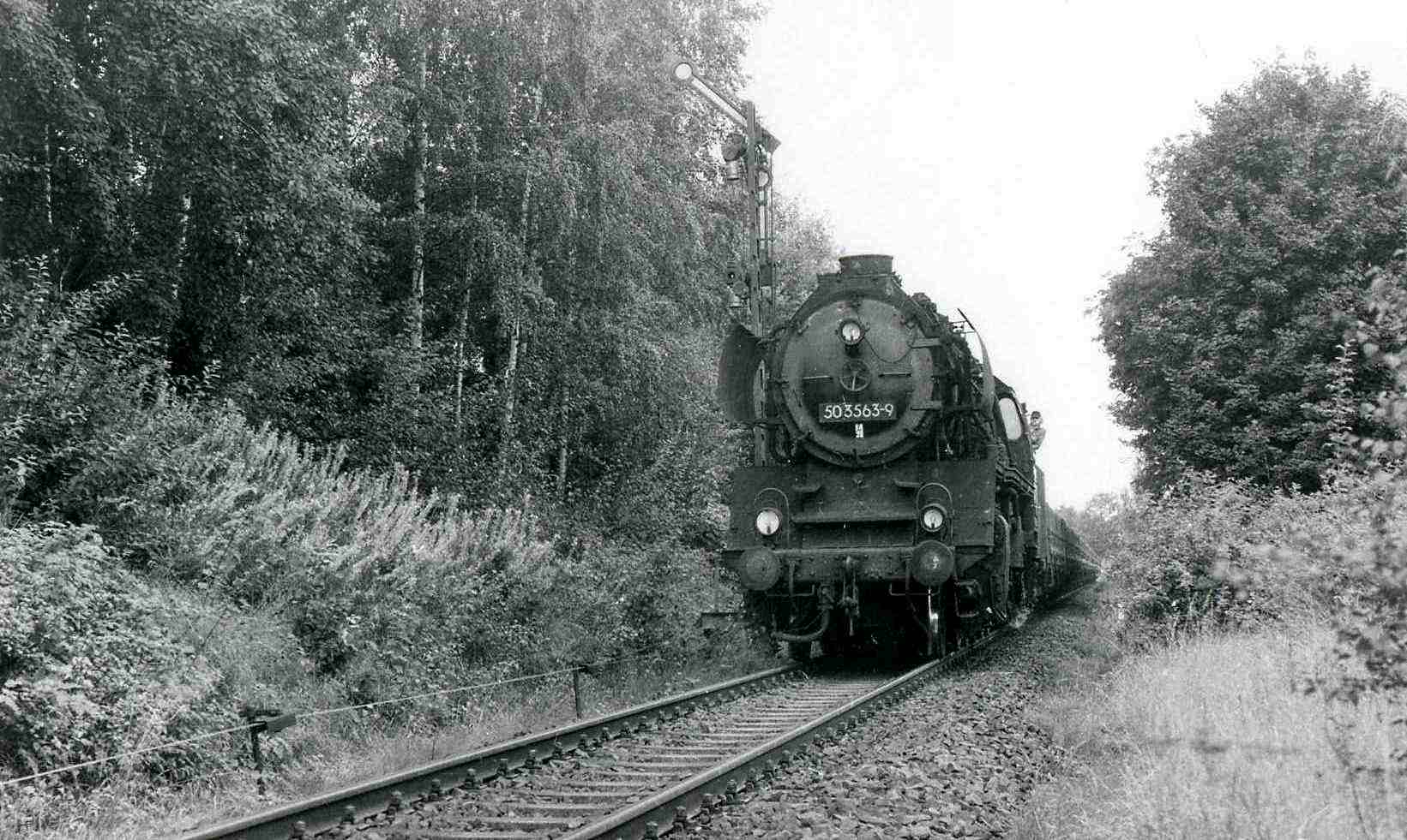 50 3563 mit Güterzug am Einfahrtssignal von Rochlitz 1985