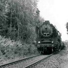 50 3563 mit Güterzug am Einfahrtssignal von Rochlitz 1985