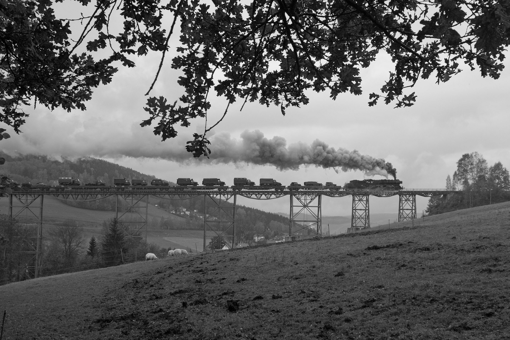 50 3616-5 auf dem Markersbacher Viadukt ...