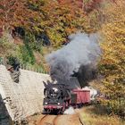 50 3616 auf dem Weg nach Johanngeorgenstadt