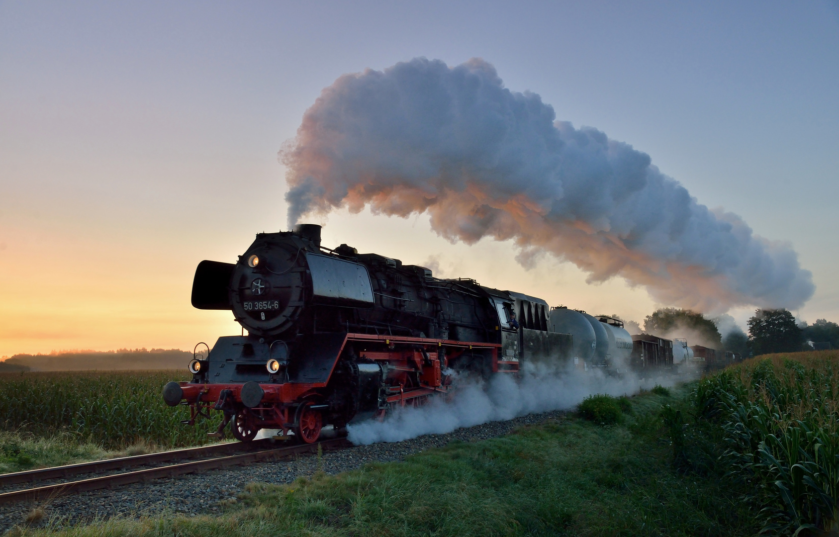 50 3654-6  mit Güterzug bei Beekbergen