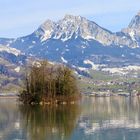 50 3673, 01 202, 01 1066 - Tele am Lauerzersee (1)