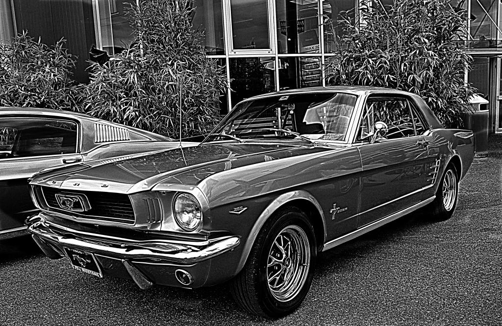 50 Jahre Ford Mustang / 1