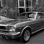 50 Jahre Ford Mustang / 1