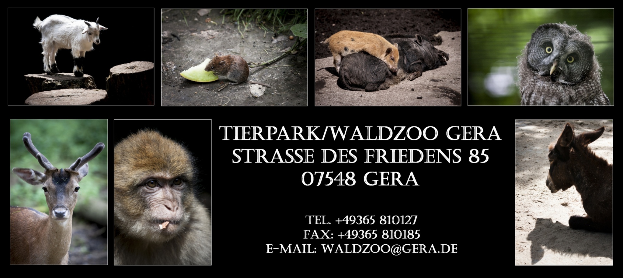 50 Jahre Tierpark Gera