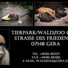 50 Jahre Tierpark Gera