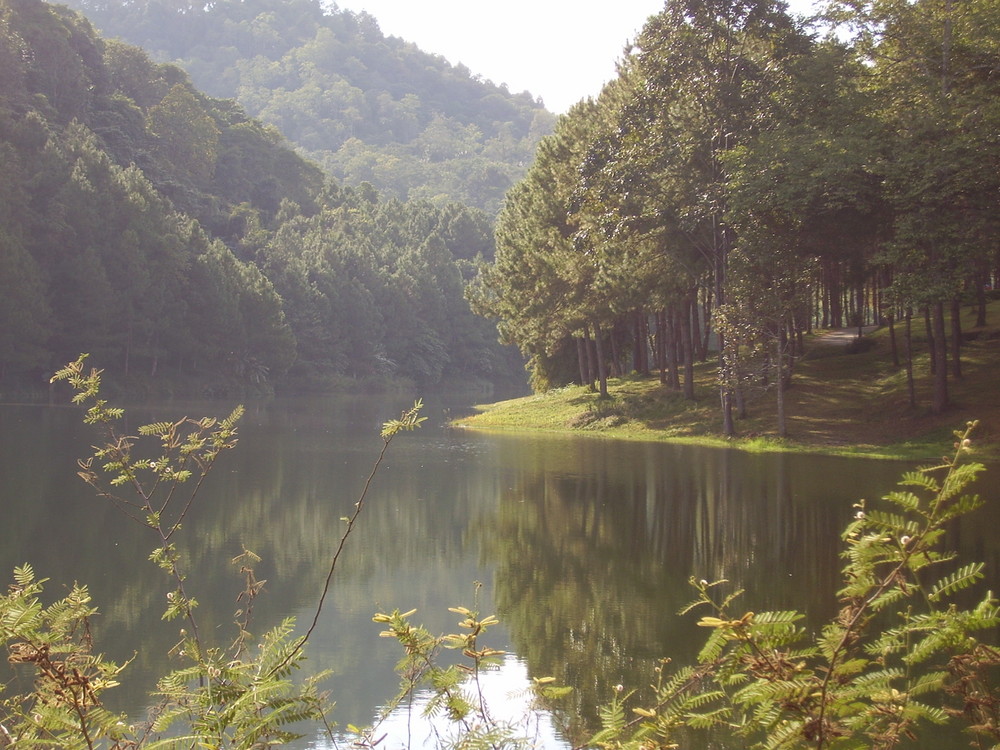 50 km a nord di mae hong son