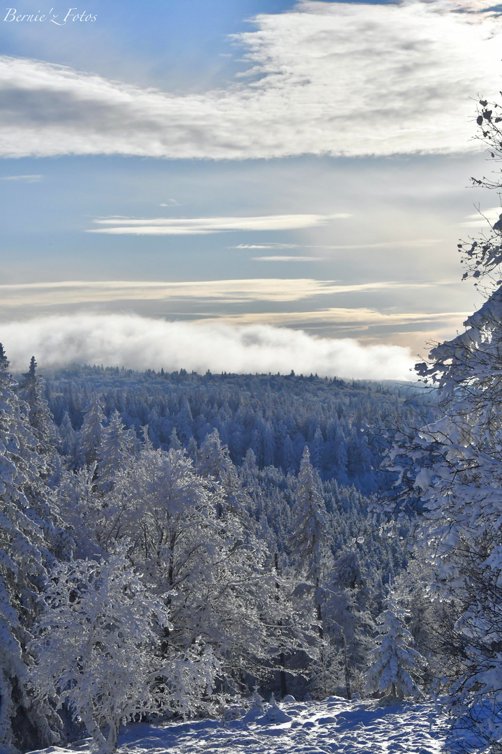 50 Nuances de blanc