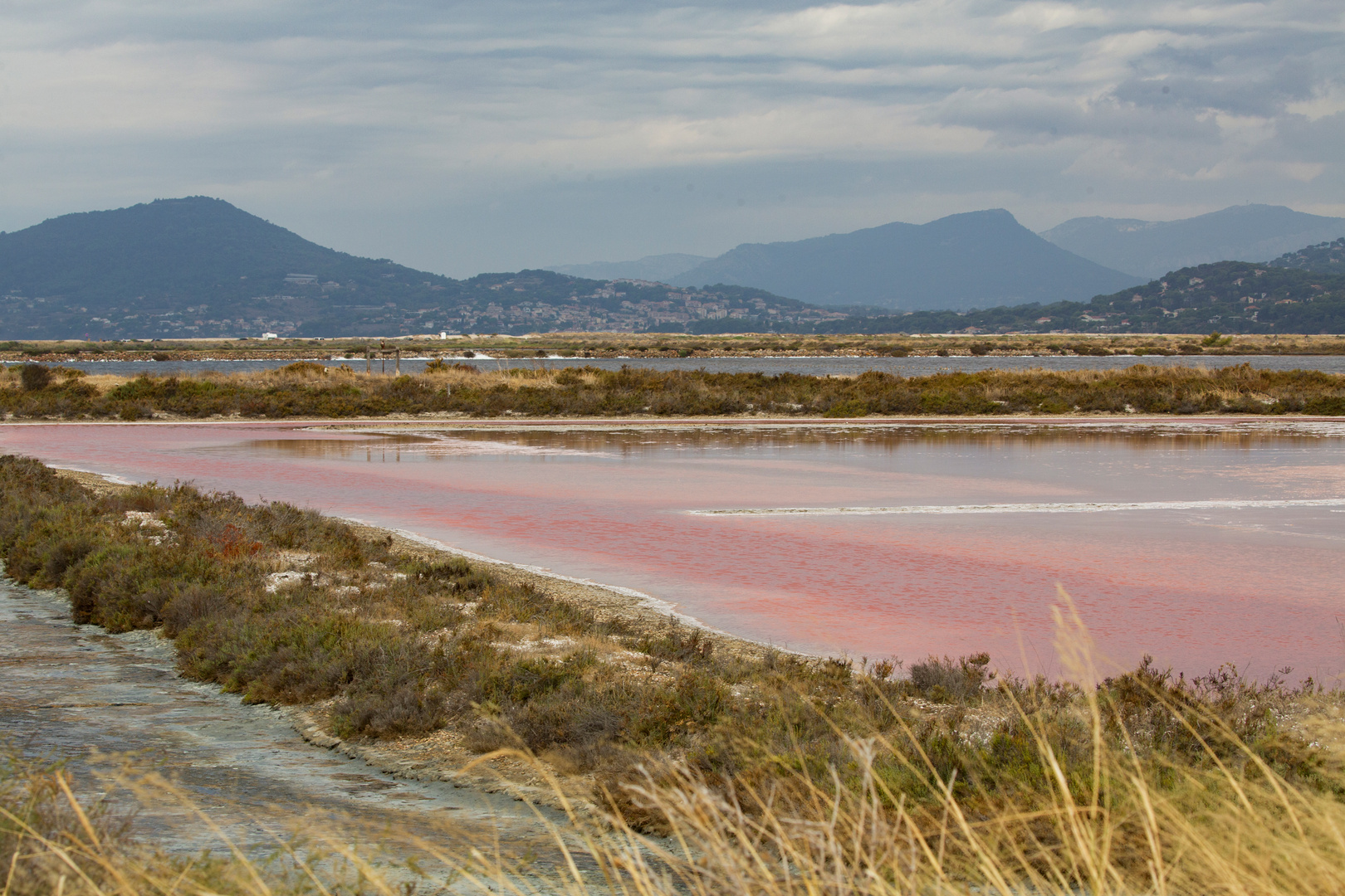 50 nuances de rose ...aux Salins des Pesquiers à Hyères