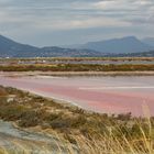 50 nuances de rose ...aux Salins des Pesquiers à Hyères