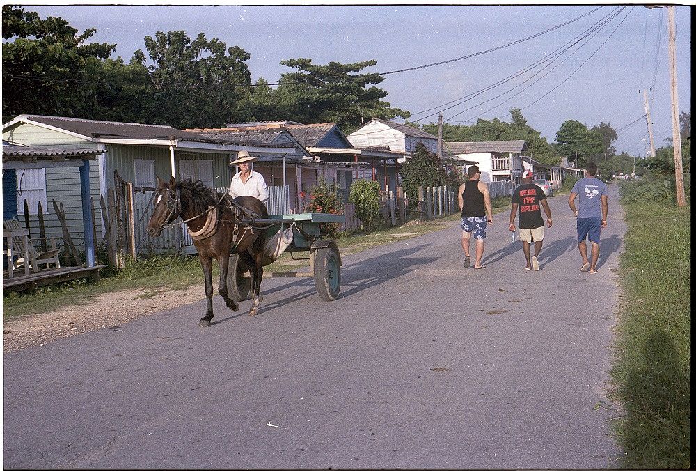 500 Pferde hat Cuba mindestens