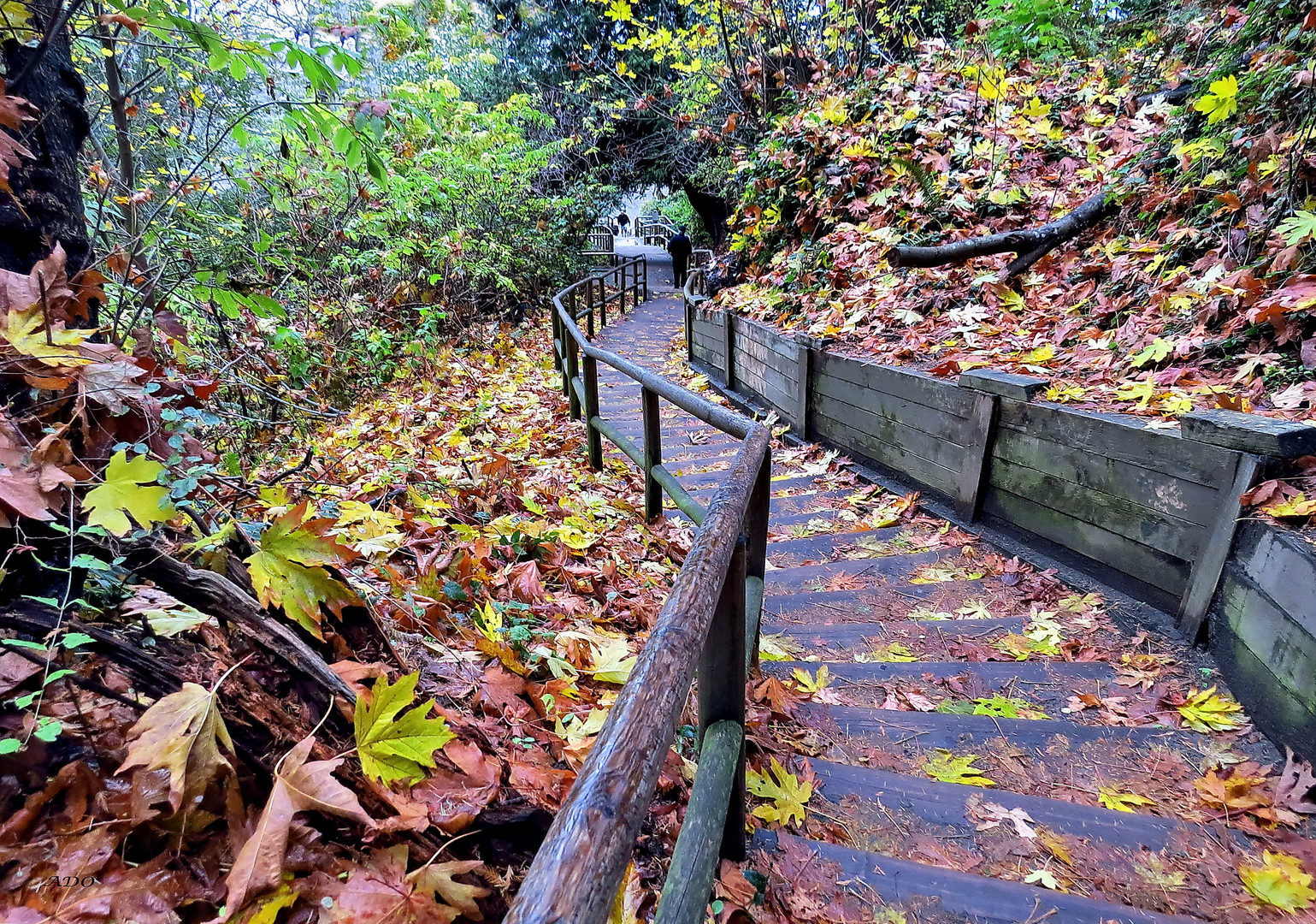 500 Steep Steps