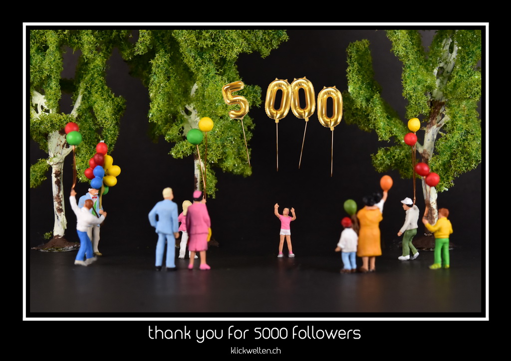 5000 followers