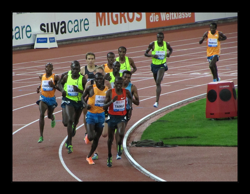 Bildsport Bildsport