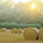 5017SC Strohballen Nebelstimmung beim Sonnenaufgang