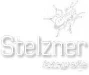 Stelzner Foto-Portfolio