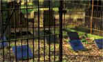 Hinter Gittern surreal by hilmar sundermann