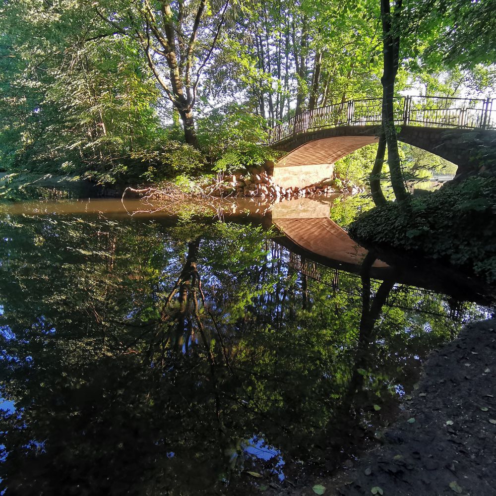 die Brücke im Wald von hexenweibel