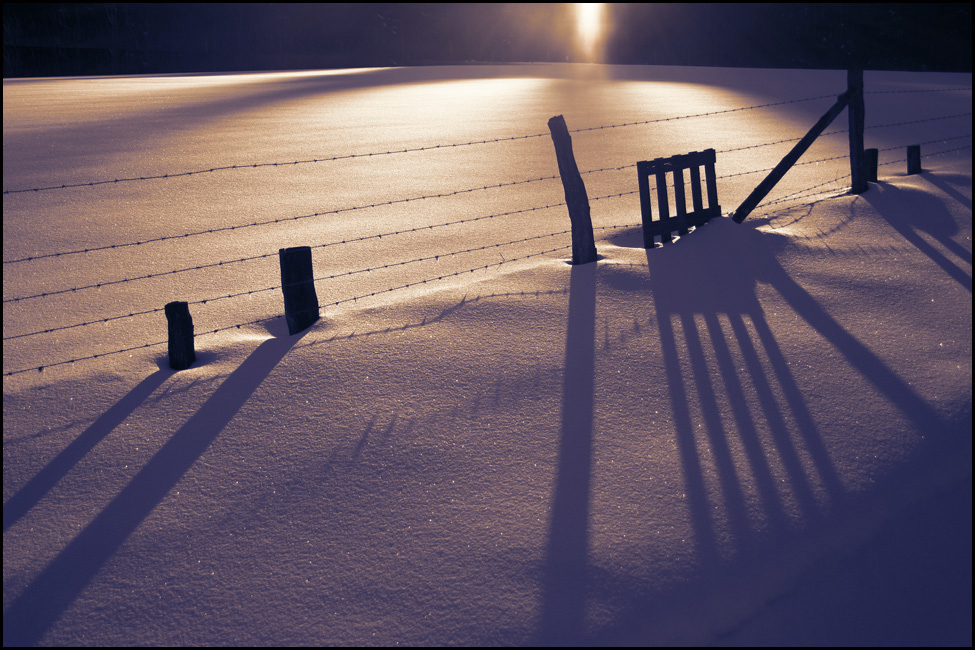 Letzte Sonne von Veronika Pinke 