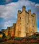 Castillo. Valencia de Don Juan de fegamar